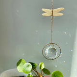 Suncatcher I dragonfly