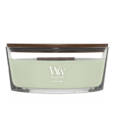 BRUME ETHEREE ELLIPSE