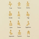 Zodiac Charm I Aquarius (January 20 - February 19) / Charm only