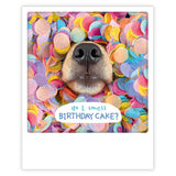 Postcard - Polaroid format - Do I smell birthday cake?