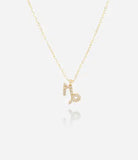 Capricorn necklace