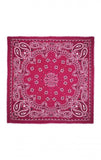 FOULARD PAISLEY BIG