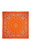 FOULARD PAISLEY BIG