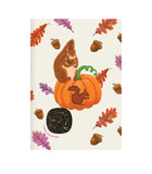 Infusion I Pumpkin & Squirrel Postcard