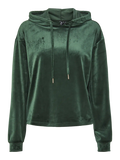 PCSILLI LS VELVET HOODIE JRS FC BC