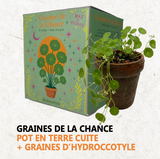 POT GRAINES DE LA CHANCE