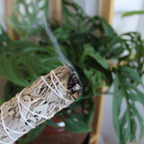 Paquet de 4 po de sauge blanche de Californie (herbes en vrac)