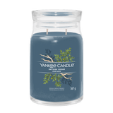 Sign Cedre Marin Jarre GM