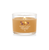 YC Girl Vot Golden Pumpkin