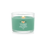 ИЦ Гирл Воти Холидаи Винтерф