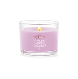 YC FILLED VOT SUMMIT STARG