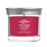 YC SIGN GOB SM SANTA ON SKIS