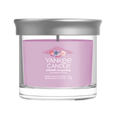 YC SIGN GOB SOM SUMMIT STARGAZ