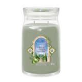 YC Sign Lg Jar Olive Cypress