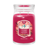 YC SIGN LJ SANTA ON SKIS