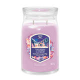 YC SIGN LJ SUMMIT STARGAZING