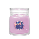 YC SIGN MJ SUMMIT STARGAZING