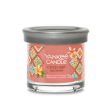 YC SIGN TUMBLER SM CAPRI GLOW