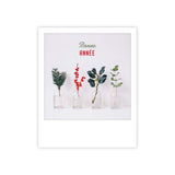 Frohes Neues Jahr Pflanze