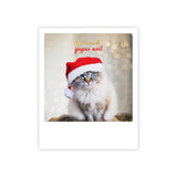 Süße Weihnachtskatze