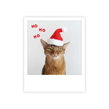 Ho ho Katze