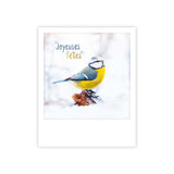 Glückliche Vogelfete