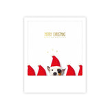 merry christmas dog santa