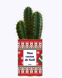 Cactus - Mon Cactus de Noël