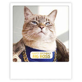 Postkarte - Polaroid-Format - Big Boss Cat