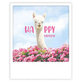 Postkarte - Polaroid-Format - Alles Gute zum Geburtstag Lama