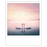Carte postale - Format Polaroide - Oui swans in love