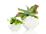 VASE COQUILLAGE GRAND - BLANC