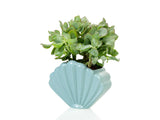 VASE COQUILLAGE GRAND - BLEU
