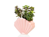 VASE COQUILLAGE GRAND - ROSE